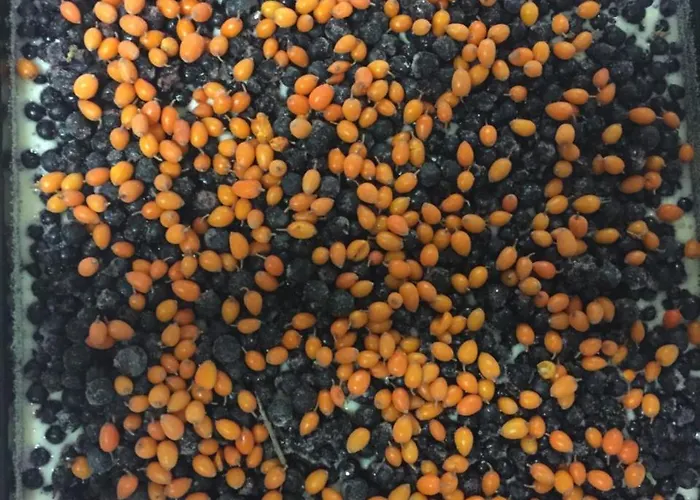 Hotel Hromovka Špindlerŭv Mlýn