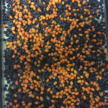 Hotel Hromovka Špindlerŭv Mlýn