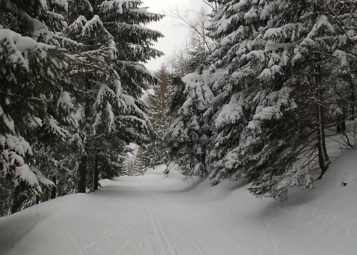 Hromovka Готель Шпіндлерув-Млин